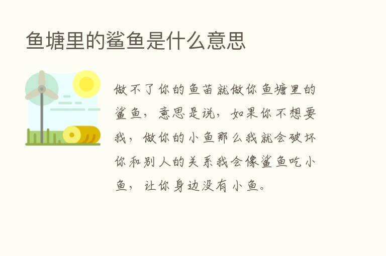 鱼塘里的鲨鱼是什么意思