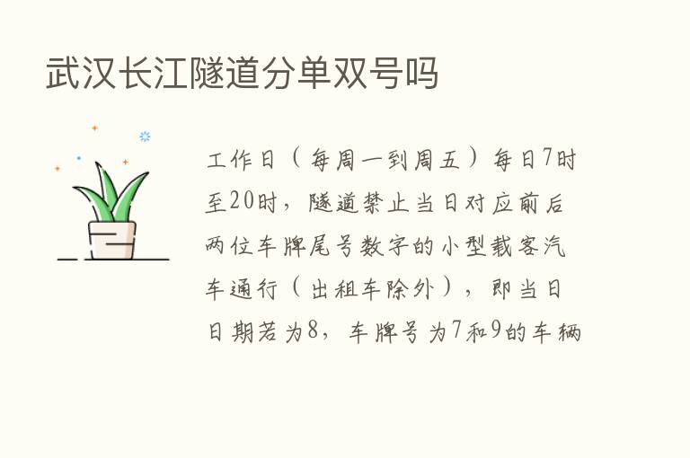 武汉长江隧道分单双号吗