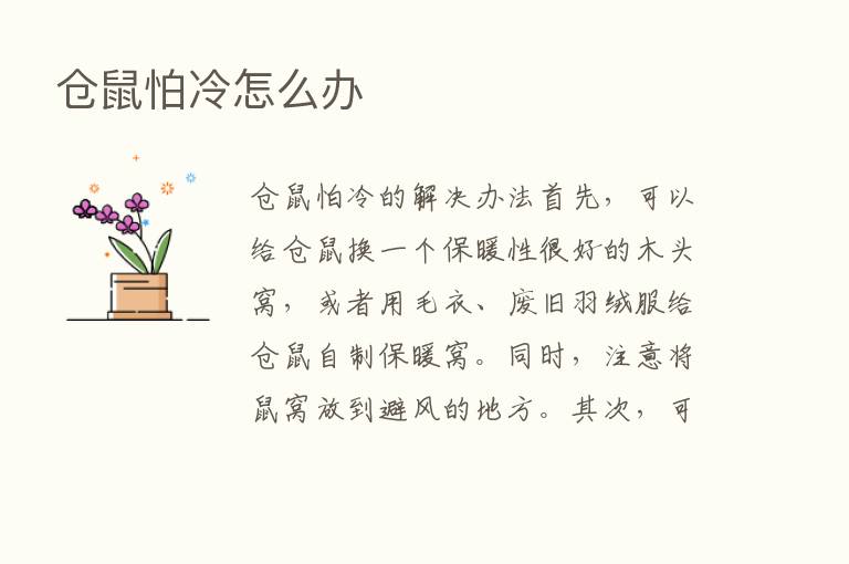 仓鼠怕冷怎么办