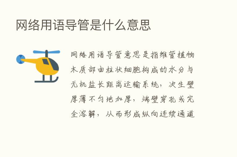 网络用语导管是什么意思