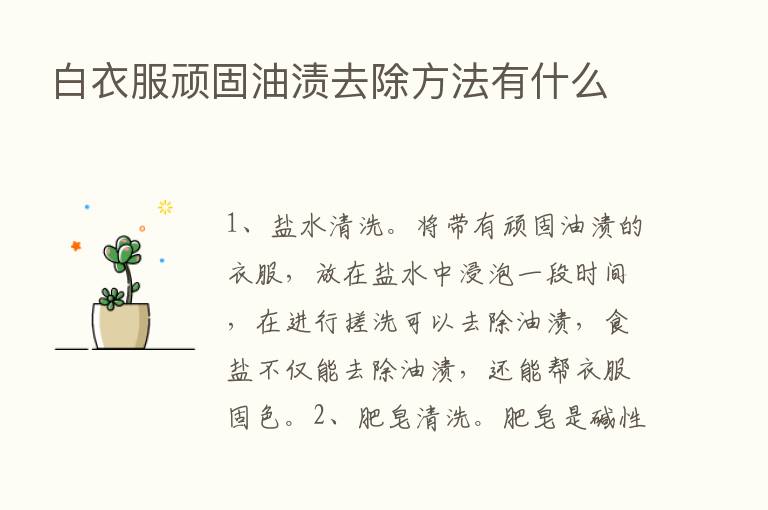 白衣服顽固油渍去除方法有什么