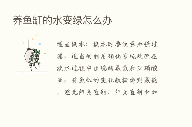 养鱼缸的水变绿怎么办