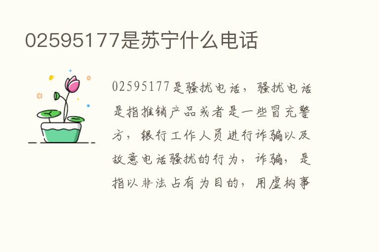 02595177是苏宁什么电话