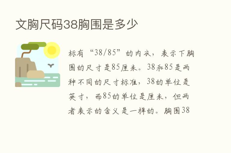 文胸尺码38胸围是多少