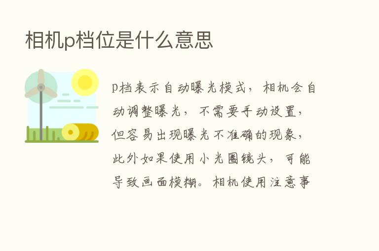 相机p档位是什么意思