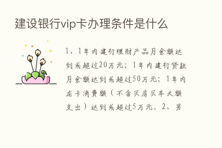 建设银行vip卡办理条件是什么