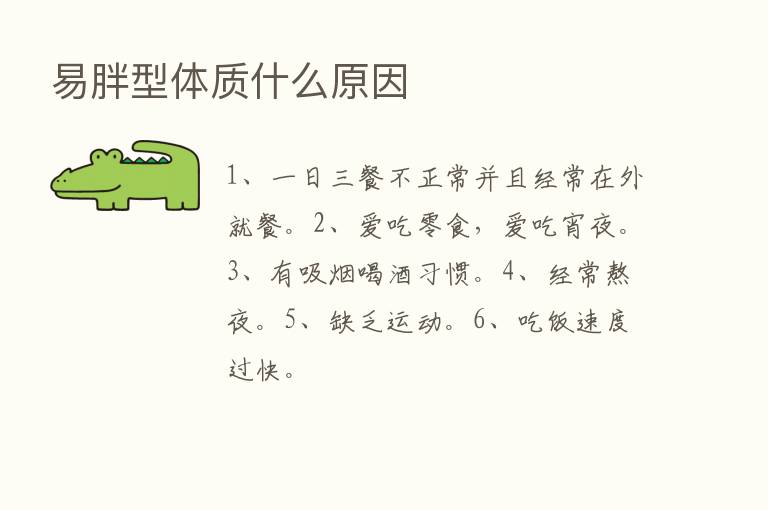 易胖型体质什么原因