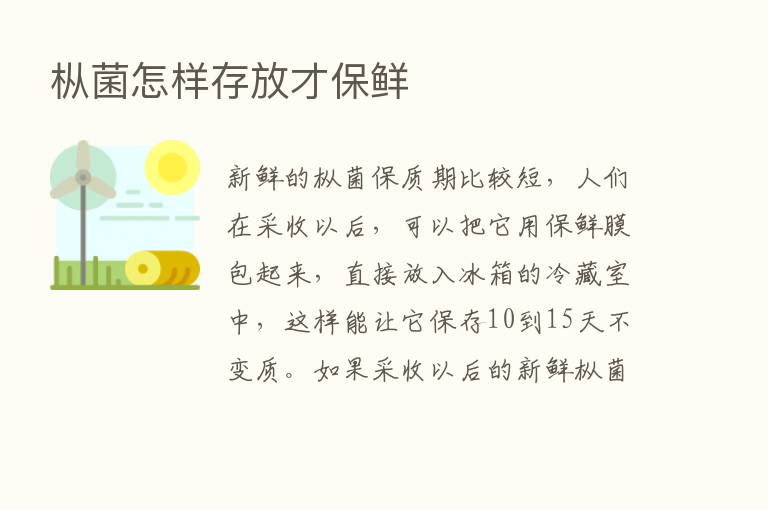 枞菌怎样存放才保鲜