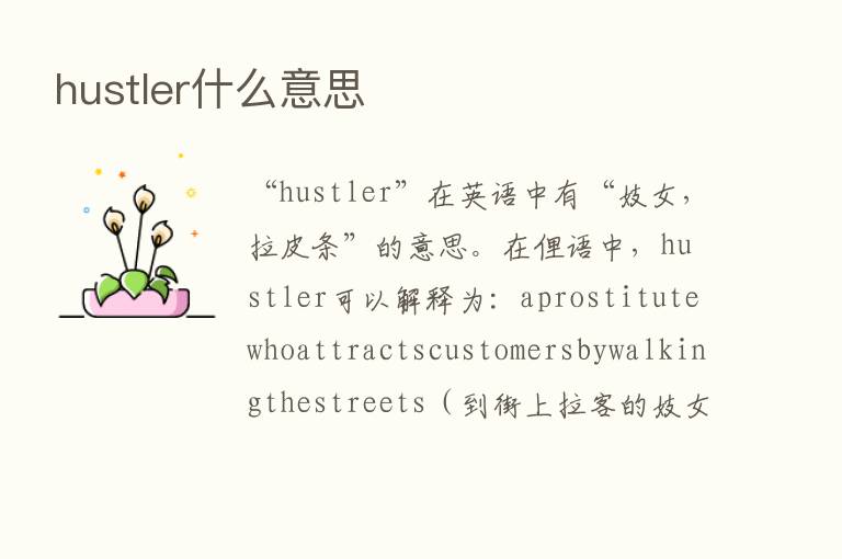 hustler什么意思