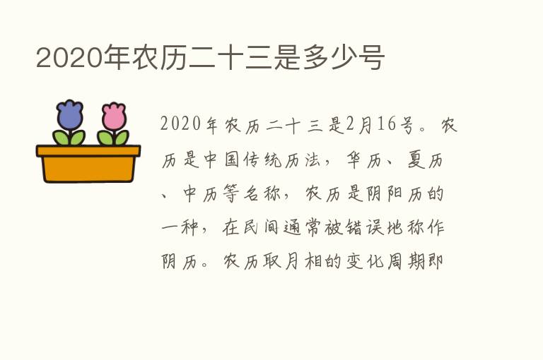 2020年农历二十三是多少号