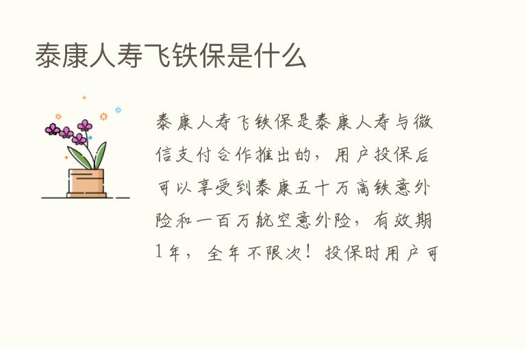 泰康人寿飞铁保是什么