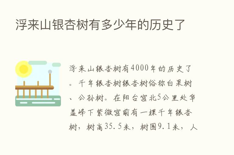 浮来山银杏树有多少年的历史了