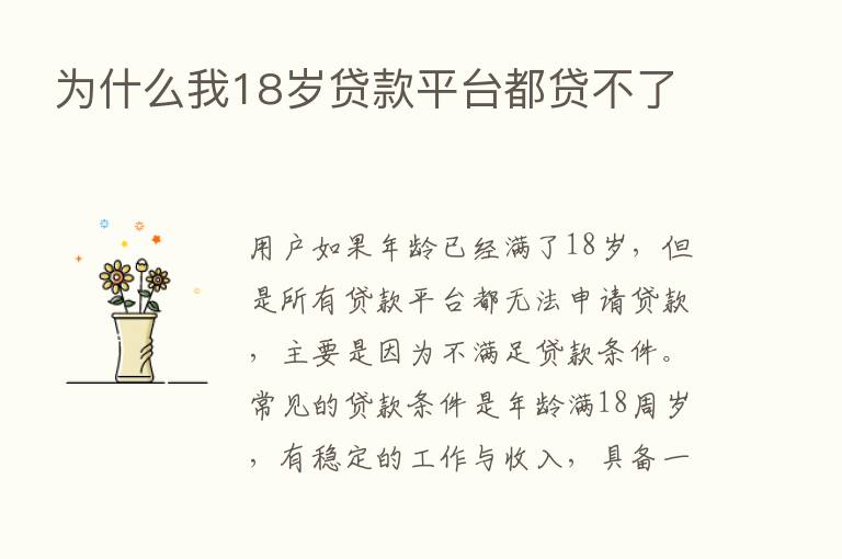 为什么我18岁贷款平台都贷不了