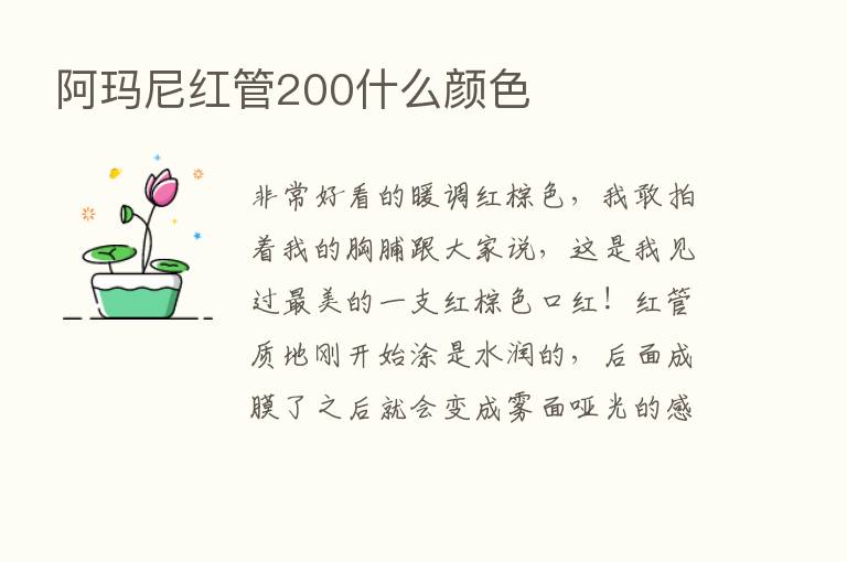 阿玛尼红管200什么颜色