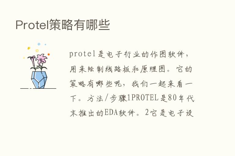 Protel策略有哪些