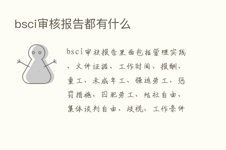 bsci审核报告都有什么