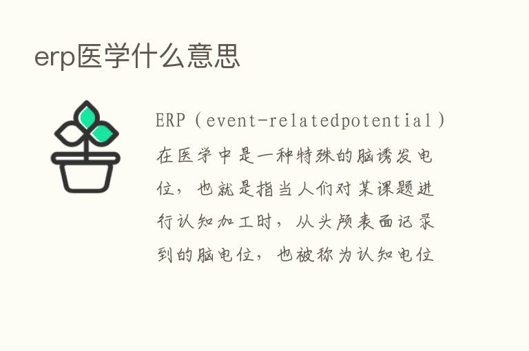 erp医学什么意思