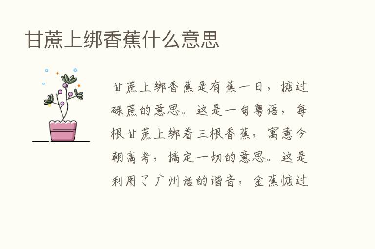 甘蔗上绑香蕉什么意思