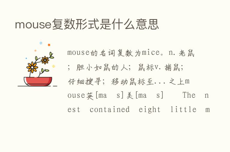 mouse复数形式是什么意思