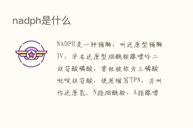 nadph是什么