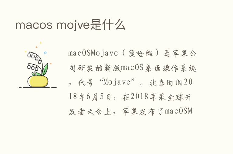 macos mojve是什么