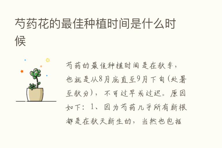 芍药花的   佳种植时间是什么时候