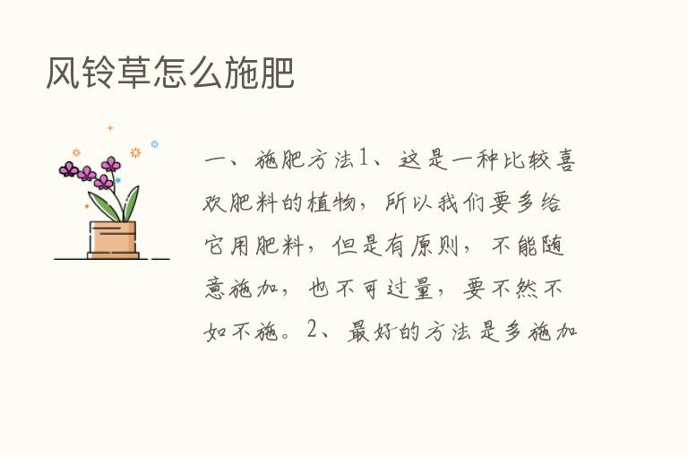 风铃草怎么施肥