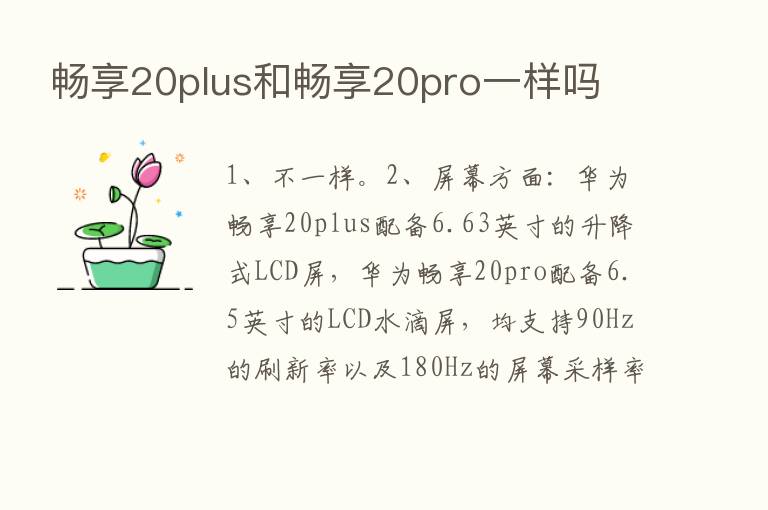 畅享20plus和畅享20pro一样吗