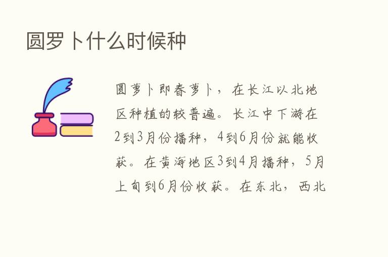 圆罗卜什么时候种