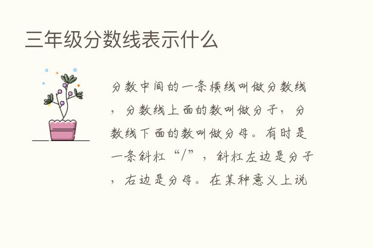 三年级分数线表示什么