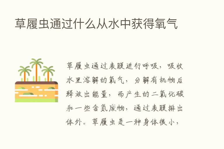 草履虫通过什么从水中获得氧气