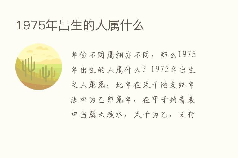 1975年出生的人属什么