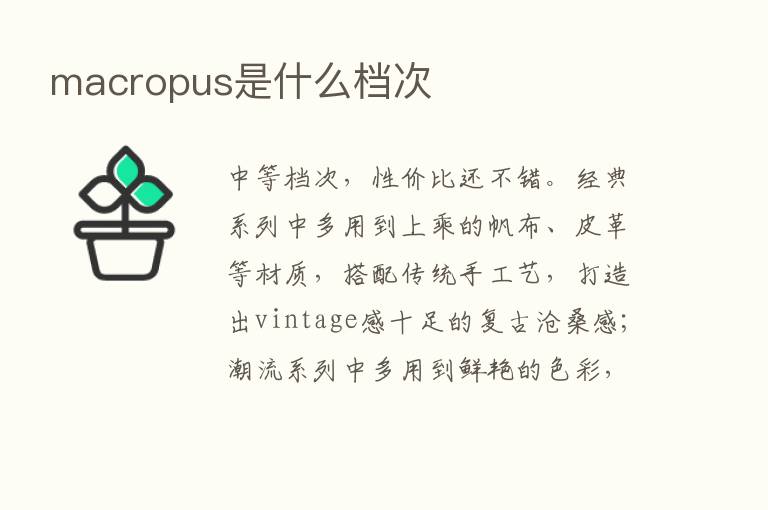 macropus是什么档次