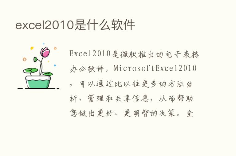 excel2010是什么软件