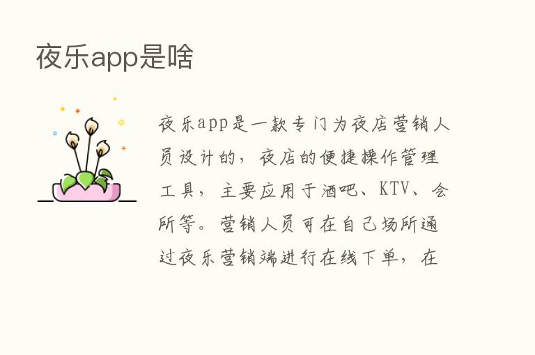 夜乐app是啥