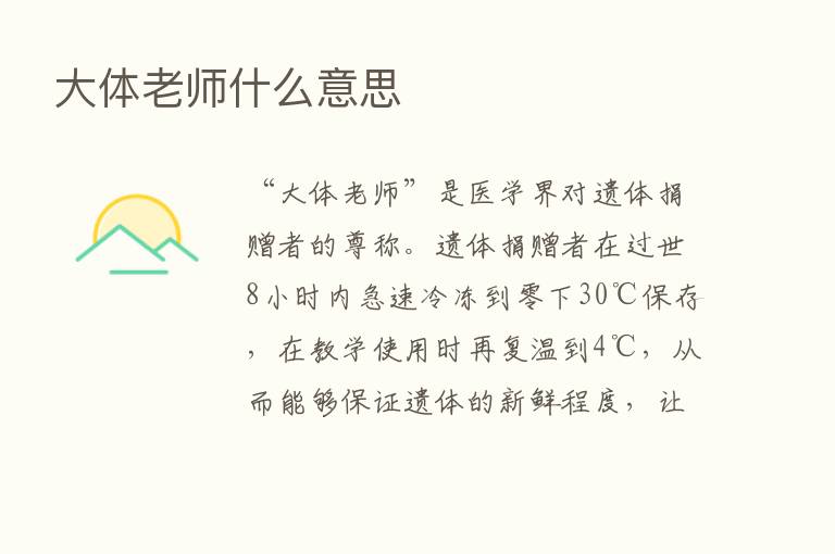 大体老师什么意思