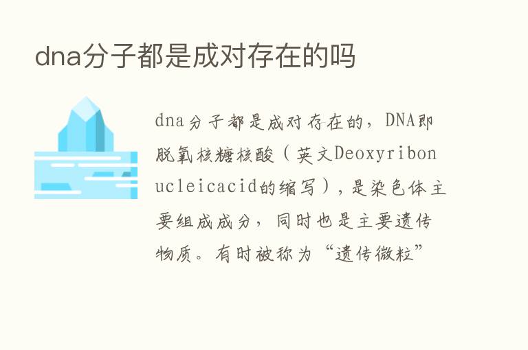 dna分子都是成对存在的吗