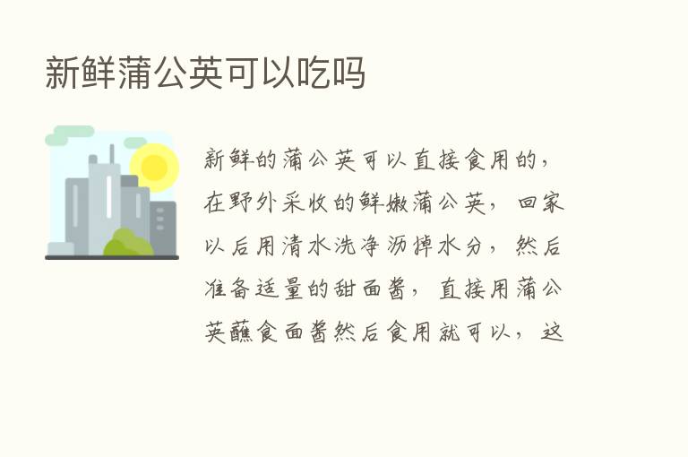 新鲜蒲公英可以吃吗