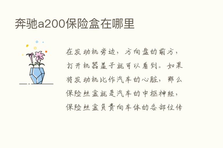 奔驰a200      盒在哪里