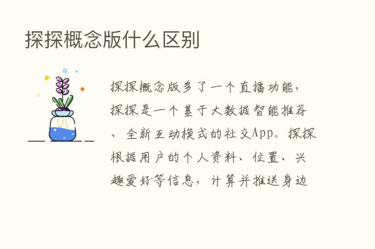 探探概念版什么区别