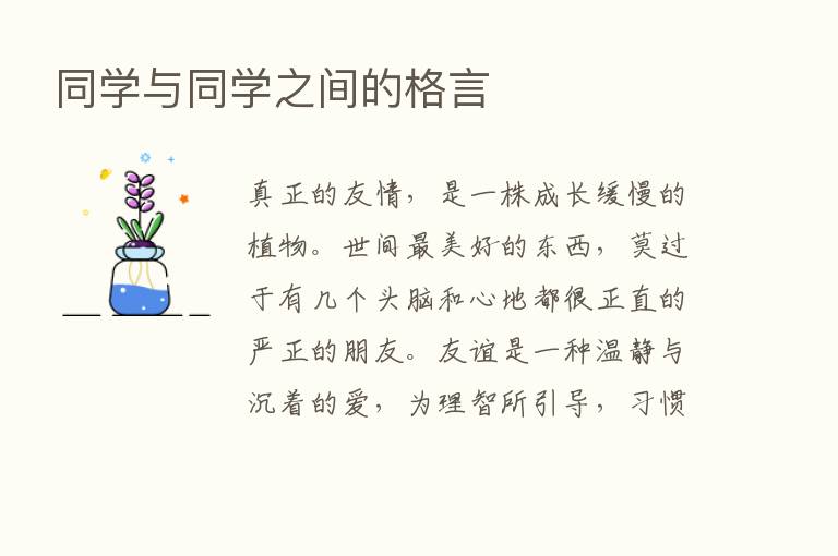 同学与同学之间的格言