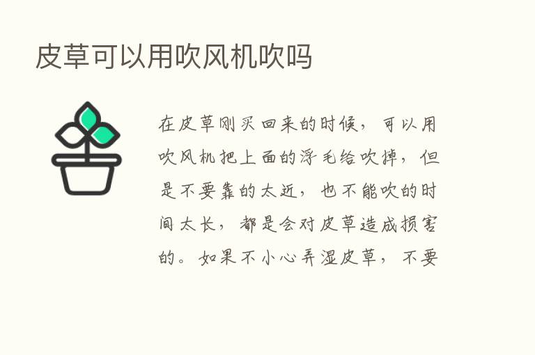 皮草可以用吹风机吹吗