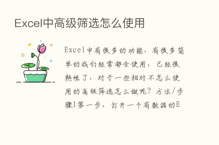 Excel中高级筛选怎么使用