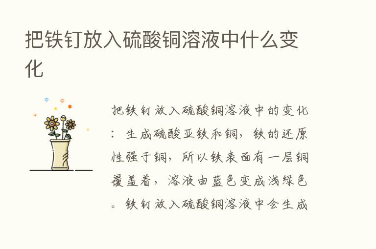 把铁钉放入硫酸铜溶液中什么变化