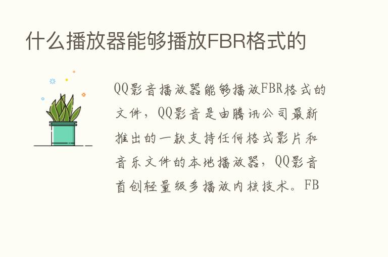 什么播放器能够播放FBR格式的