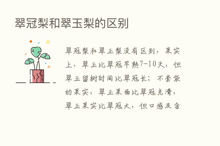 翠冠梨和翠玉梨的区别