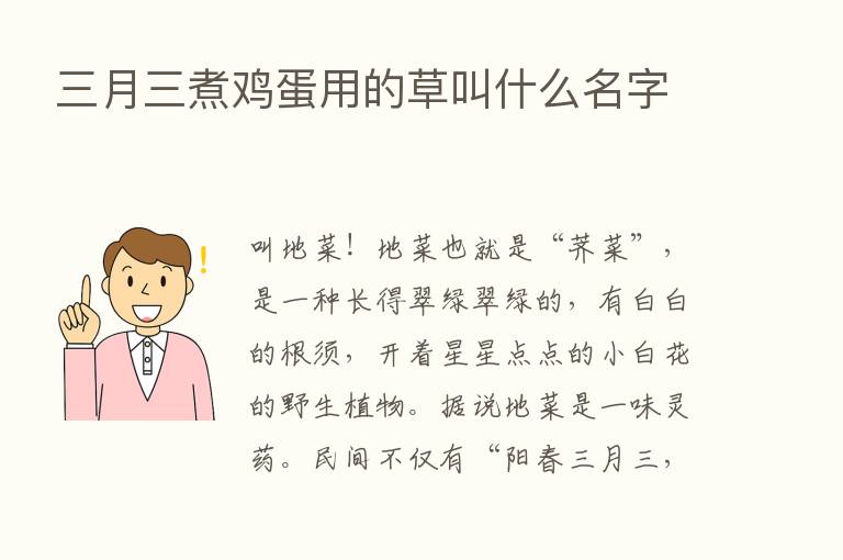 三月三煮鸡蛋用的草叫什么名字