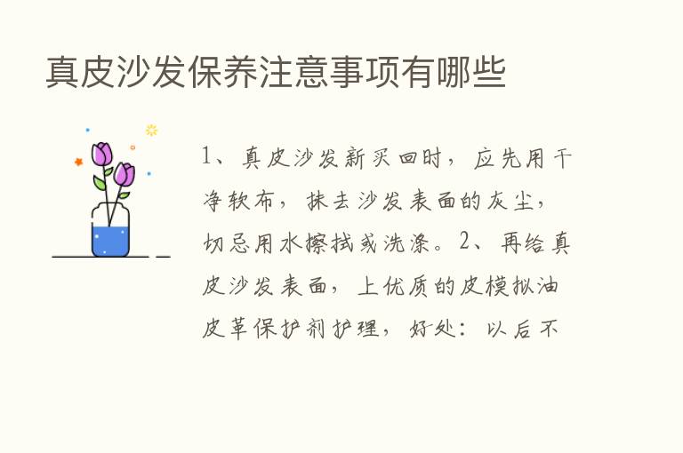 真皮沙发保养注意事项有哪些