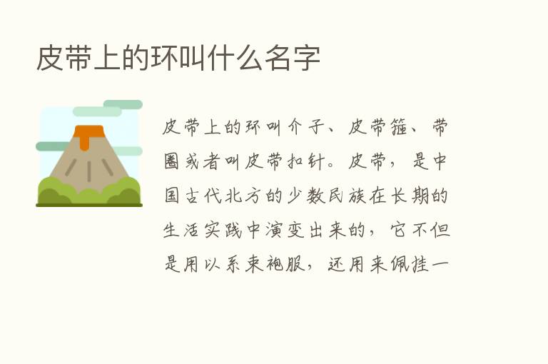 皮带上的环叫什么名字