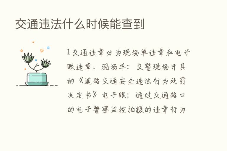 交通违法什么时候能查到